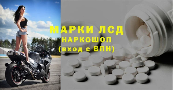 винт Верея