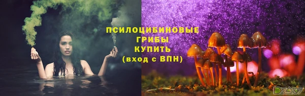 мдпв Вяземский