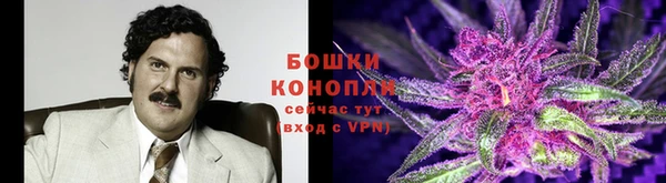 винт Верея