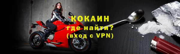 винт Верея