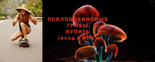 винт Верея