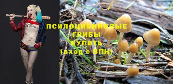 круглые Волоколамск